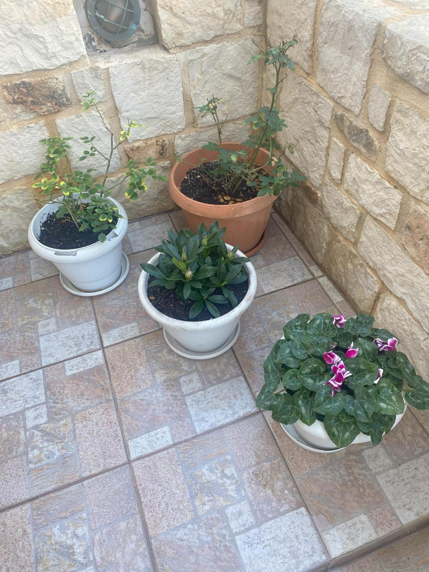 New Unique Apartment In Heraklion Екстер'єр фото